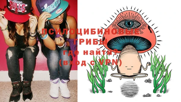 MDMA Premium VHQ Богородицк