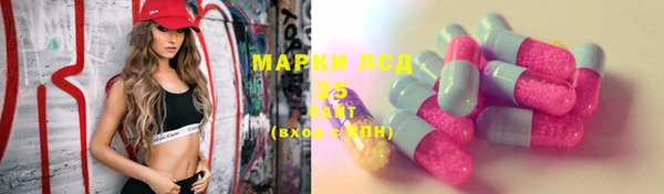 spice Гусев