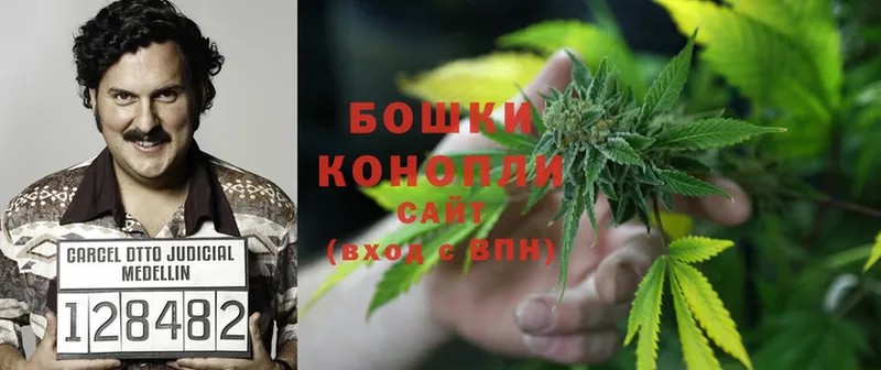 Бошки марихуана White Widow  Верхняя Тура 